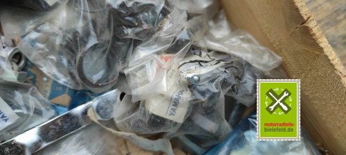IMG_20230828_101334